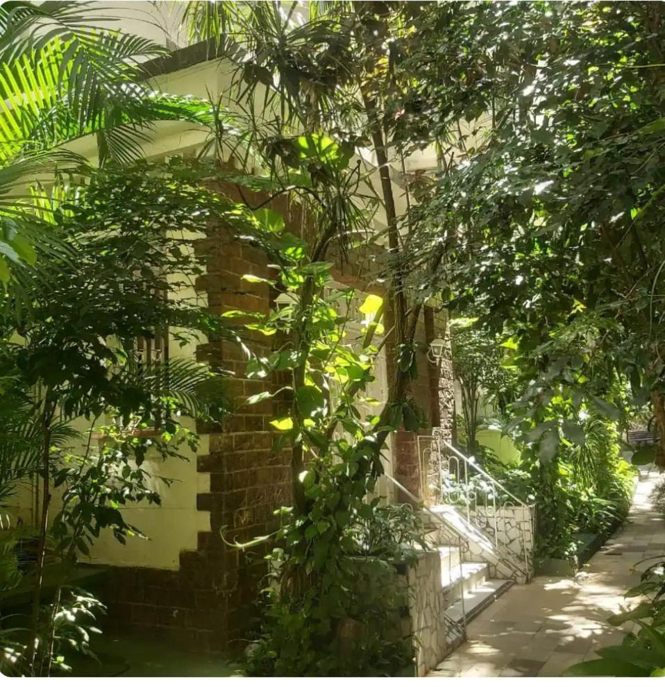 Bulhoes De Carvalho 591-601 Rio de Janeiro Luaran gambar